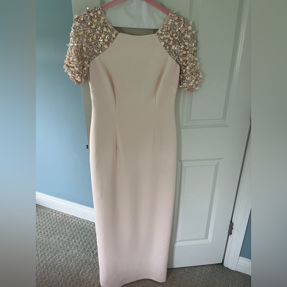 Like New - Light Pink Adrianna Papell Dress with sequin short sleeves - Picture 1 of 4